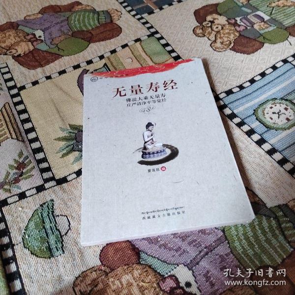 中华传统经典·无量寿经：佛说大乘无量寿庄严清净平等觉经