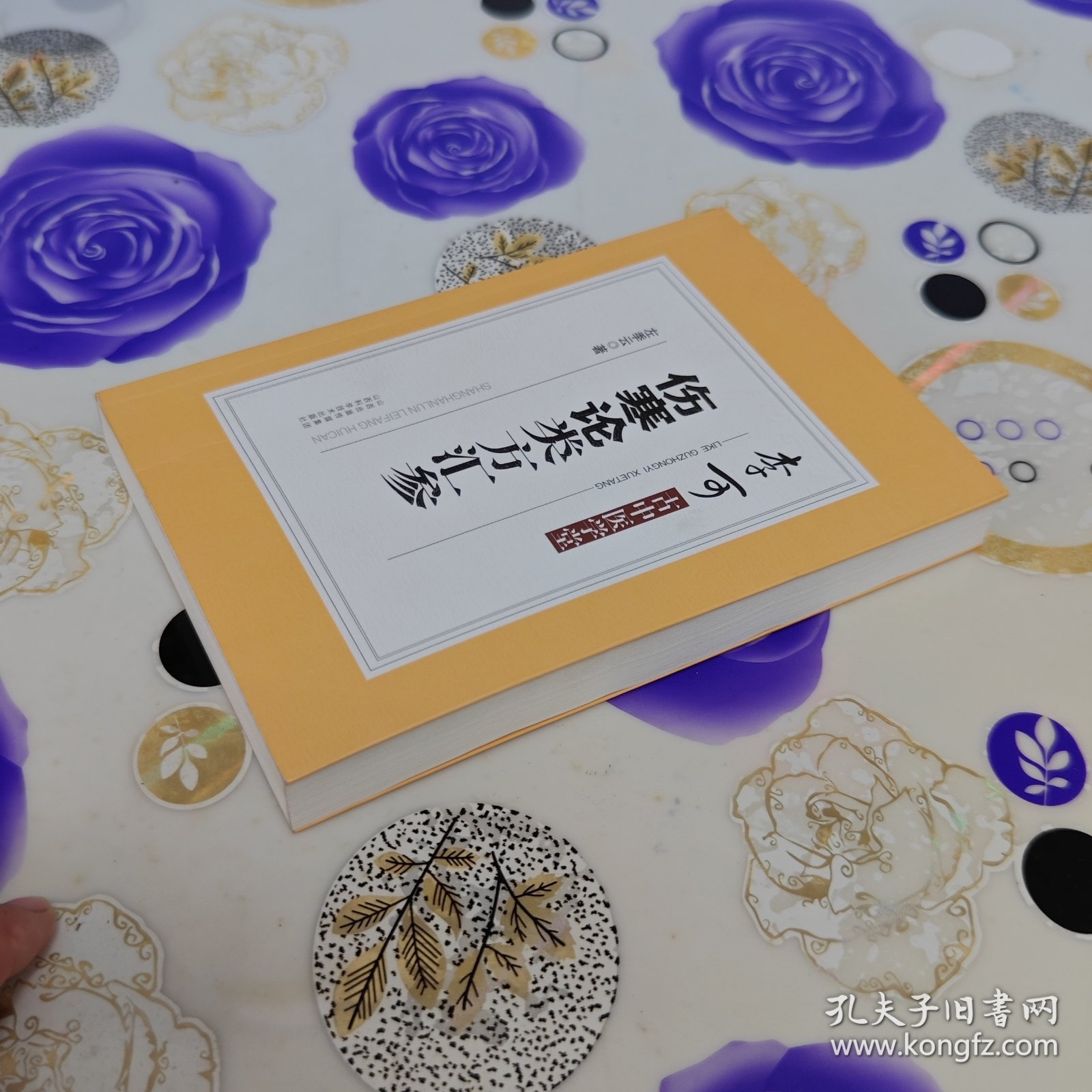 李可古中医学堂：伤寒论类方汇参