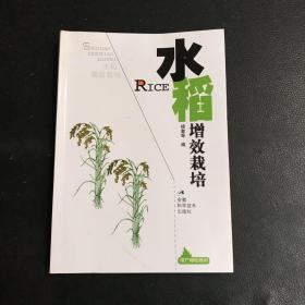 水稻增效栽培