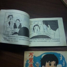 万里寻母记（上中册）