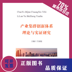 產(chǎn)業(yè)集群創(chuàng)新體系理論與實證研究 9787521839340