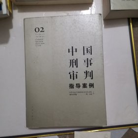 中国刑事审判指导案例2(增订第3版 危害国家安全罪 危害公共安全罪 侵犯公民人身权利 民主权利罪)