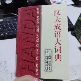 汉大成语大词典（精编本）