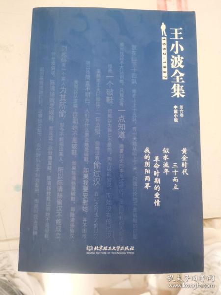 王小波全集（第六卷 中篇小说）：黄金时代 三十而立 似水流年 革命时期的爱情 我的阴阳两界