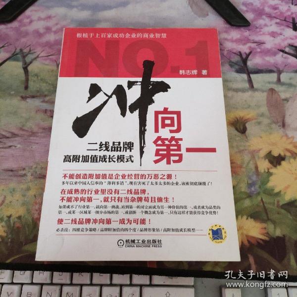 冲向第一：二线品牌高附加值成长模式