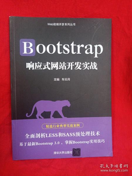 Bootstrap响应式网站开发实战/Web前端开发系列丛书