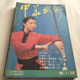 中华武术，中国武术，人民体育，孙膑拳，拳师，中国武协，武术，武术运动，少林棍法，枪法，长拳，套路，八仙剑，杨式太极拳，太极拳推手，气沉丹田，健身术，武术套路，美学，健身之友，武术健身，功夫，武坛，沧州武豪，训练，搏击，武英谱，