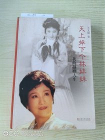 天上掉下个林妹妹：我的越剧人生