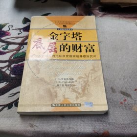 金字塔底层的财富