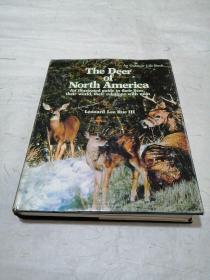 the deer of north America（签名）