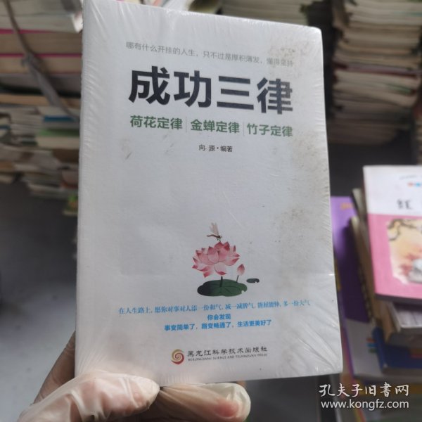 成功三律：荷花定律金蝉定律竹子定律