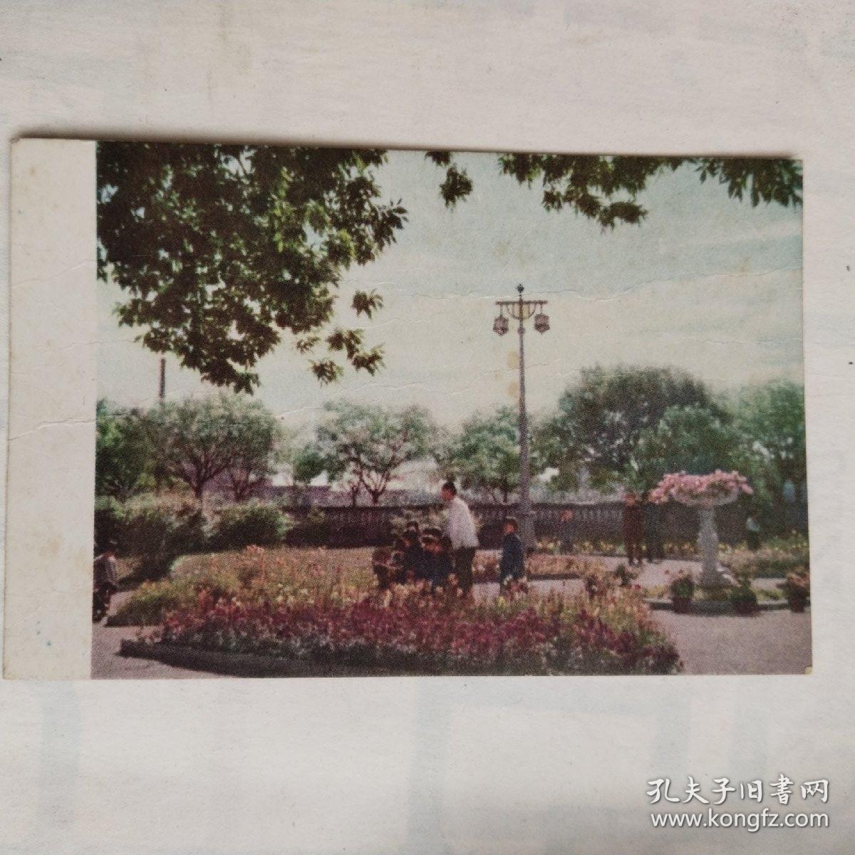 五十年代明信片，天津土山公园，（硬卡纸）