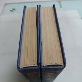 隸书大字典(上下册)