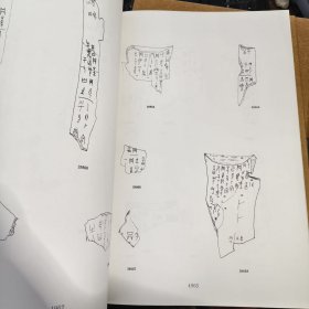 甲骨文合集（全13册 精装）