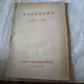 齐齐哈尔民盟简史，1956至1984。