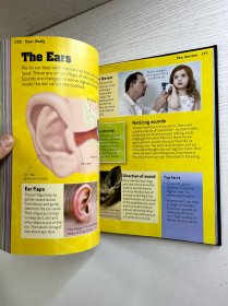 Your Body: Incredible But True Facts Paperback （2015年英文版）16开（精装彩印、内页干净