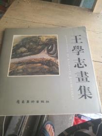 王学志画集