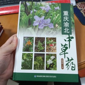 重庆渝北中草药
