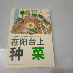 在阳台上种菜