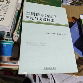 案例指导制度的理论与实践探索