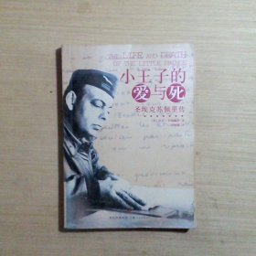 小王子的爱与死：圣埃克苏佩里传