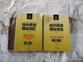 2021巨微高中英语洞穿语法——考点全面勾画重点+直击真题用法洞穿词汇重点，两册合售