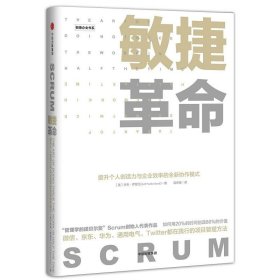 敏捷革命:提升个人创造力与企业效率的全新协作模式