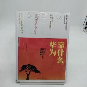 华为靠什么：任正非创业史与华为成长揭秘