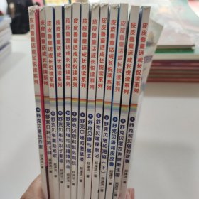 皮皮鲁童话成长阅读系列舒克和贝塔的故事13本合售舒克贝塔探亲记