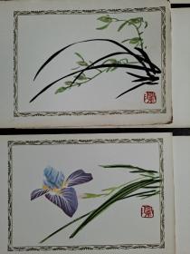 早期手绘贺卡（花鸟虫草）