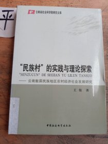 “民族村”的实践与理论探索　云南散居民族地区农村经济社会发展研究