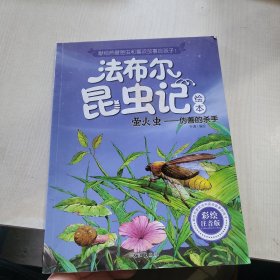 法布尔昆虫记彩绘注音版萤火虫伪善的杀手