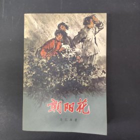 朝阳花（插图本）