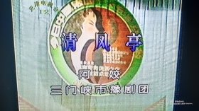 录像带，全国豫剧大赛集锦(天津台播出)后面有几首MTV