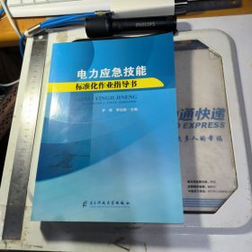 电力应急技能标准化作业指导书