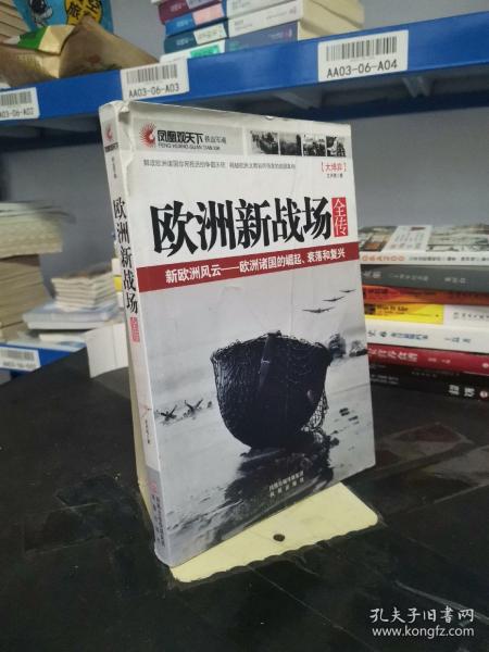 欧洲新战场全传：新欧洲风云（欧洲诸国的崛起、衰落和复兴）