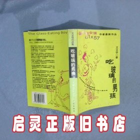 吃玻璃的男孩 王文华 作家出版社