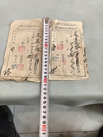 老执照