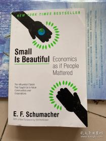 Small Is Beautiful：Economics as if People Mattered