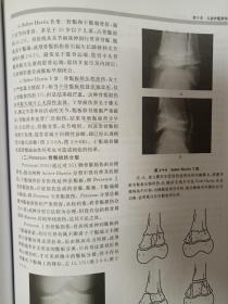 高级卫生专业技术资格考试指导用书：骨科学高级教程（配有光盘）