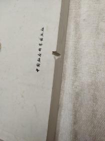 荒原与拯救-现代主义语境中的劳伦斯小说