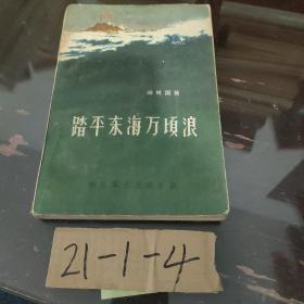 踏平东海万顷浪