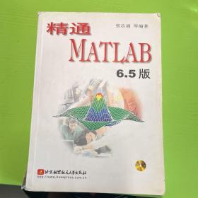 精通MATLAB6.5版