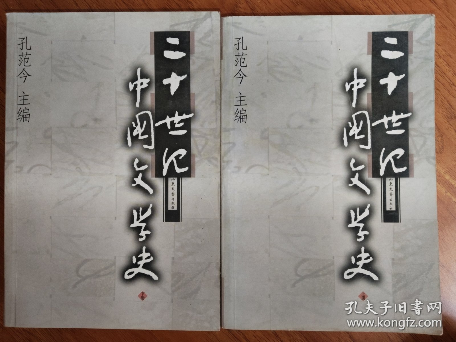 二十世纪中国文学史（上下）