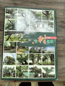 阳新古树名木