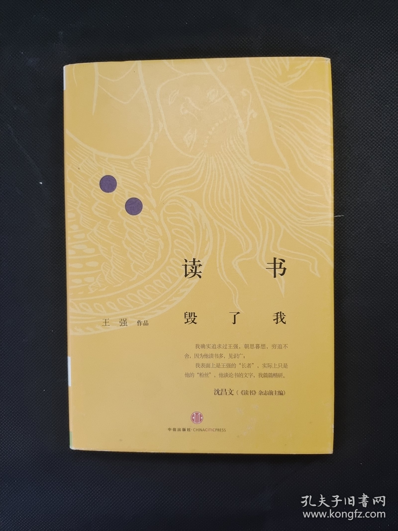 读书毁了我 精装 毛边书