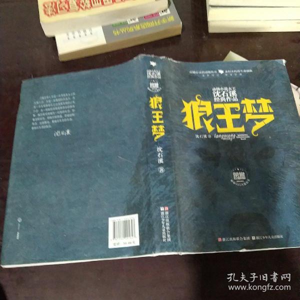 动物小说大王沈石溪经典作品·荣誉珍藏版：狼王梦