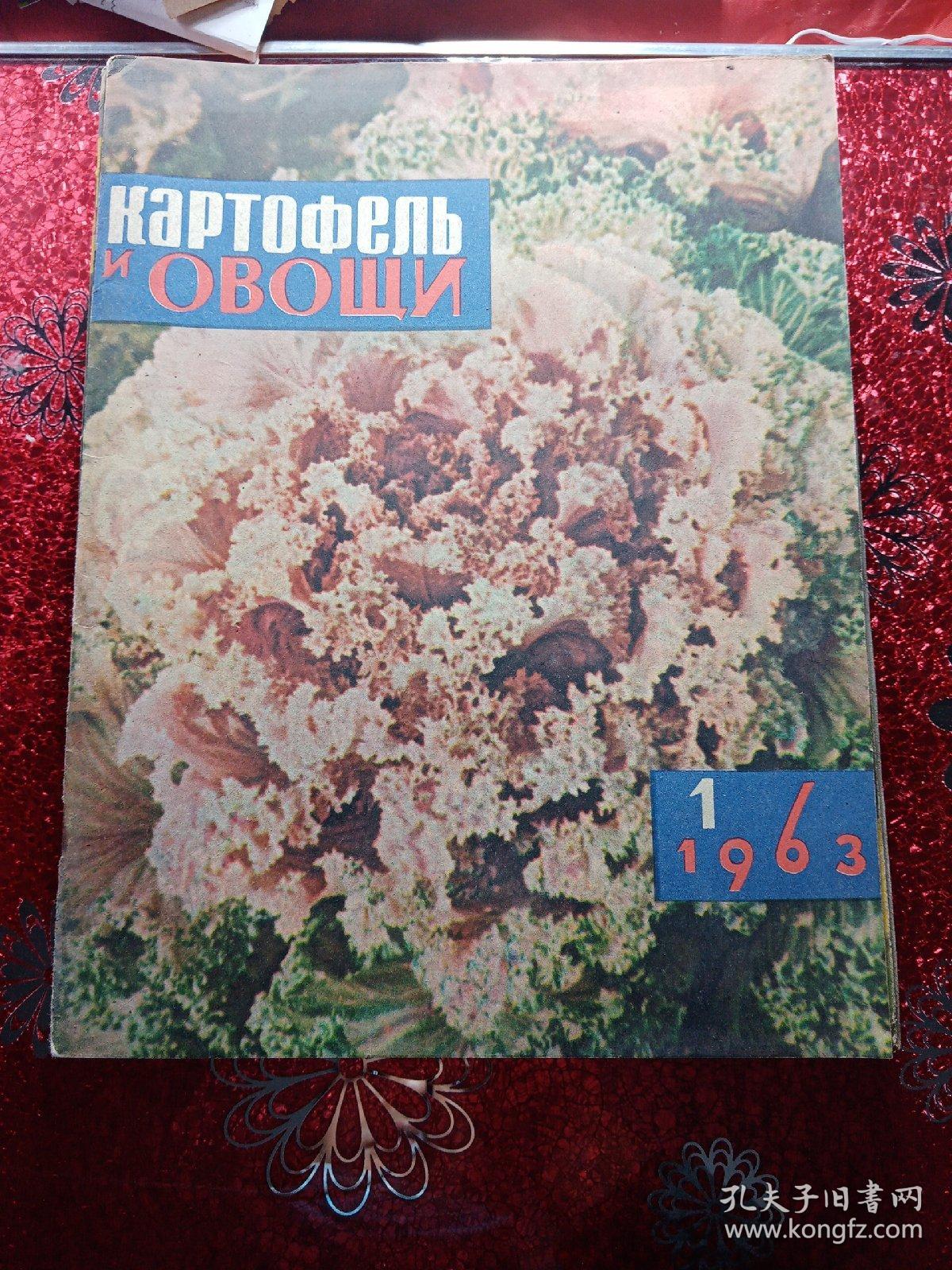 马铃薯蔬菜，1963年1到12期全，俄文版  农业大学  新疆八一农学院  李国正