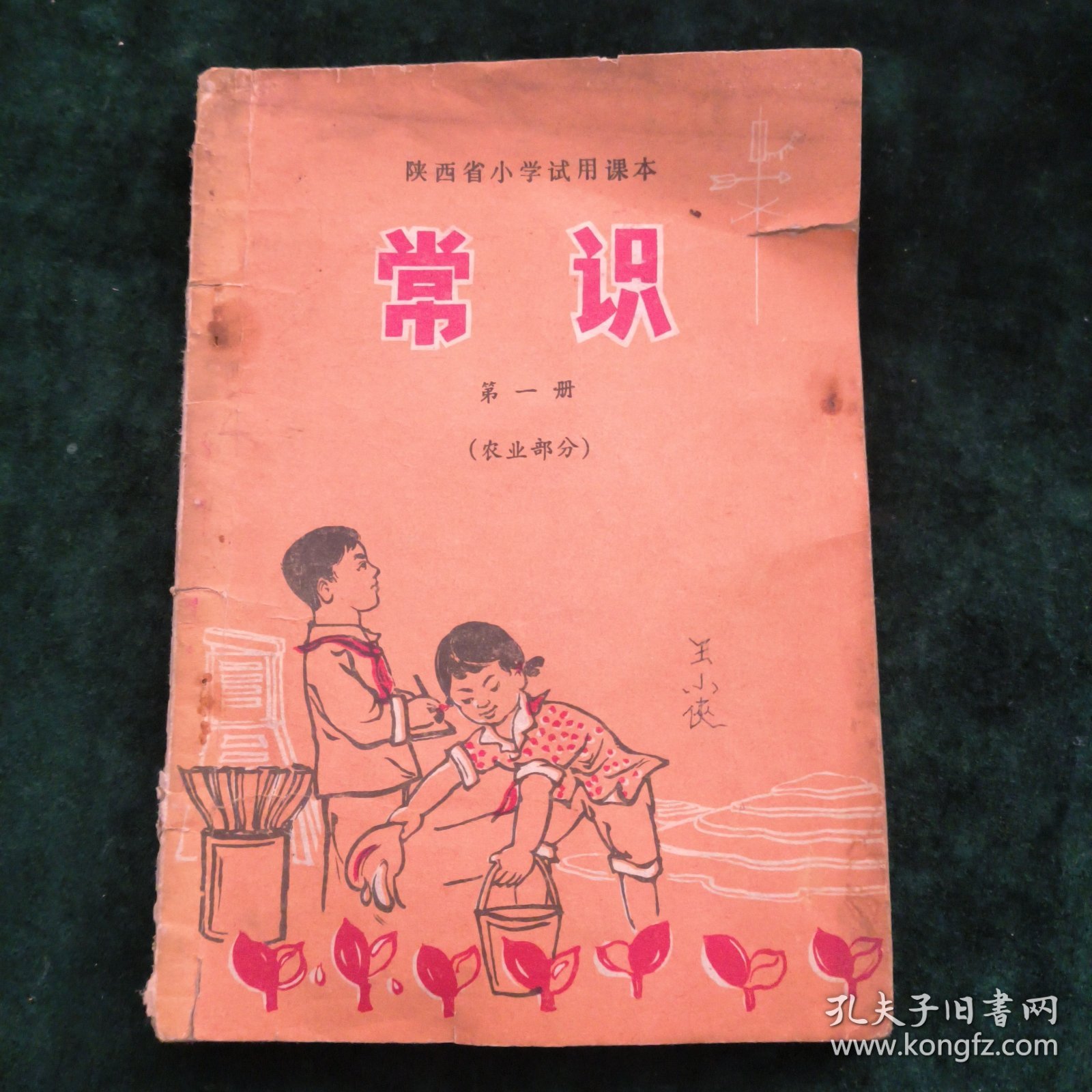 陕西省小学试用课本-常识（第一册）-农业部分