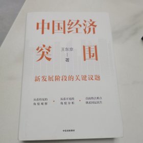 中国经济突围：新发展阶段的关键议题